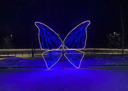 В Красноярске на Центральной набережной появился арт-объект в виде бабочки