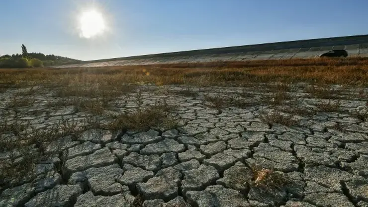 В Алтайском крае введён режим ЧС  из-за сильной засухи