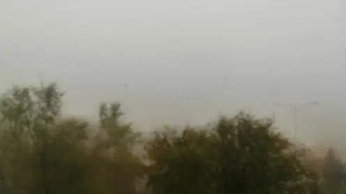 Туман и грозы прогнозируют синоптики в Красноярске 31 мая