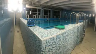 В Новосибирске в школьном бассейне утонула второклассница