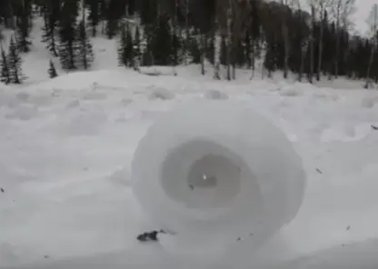 В Кузбассе в заповеднике «Кузнецкий Алатау» природа создала снежные рулоны