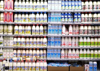В Красноярске только пять образцов молока можно употреблять