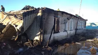 В Новосибирской области при пожаре погибли 84-летняя пенсионерка и её 65-летний родственник