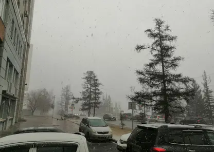 Сильный снегопад накрыл Красноярск в середине апреля