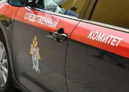 Жители города в Новосибирской области пожаловались на нападения бродячих собак