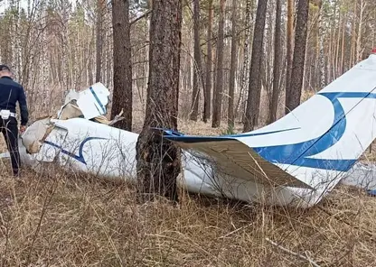 Причиной крушения самолёта Cessna под Красноярском могла стать ошибка пилота