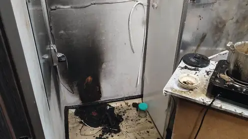 В Алтайском крае квартира загорелась из-за подсолнечного масла