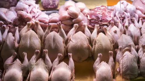 В Красноярске обнаружены опасное мясо птицы и полуфабрикаты