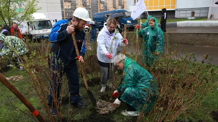 В Красноярске в седьмой раз прошла экологическая акция РУСАЛа «Сиреневый день»