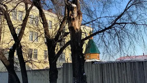 Специалисты объяснили причину сноса живых деревьев на остановке по ул. Киренского