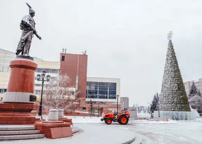 В Красноярске с 15 февраля начнётся уборка городских ёлок