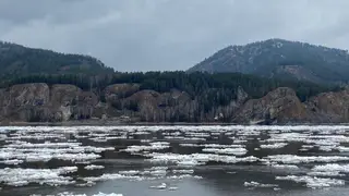 Жители Красноярского края заметили ледоход на Енисее