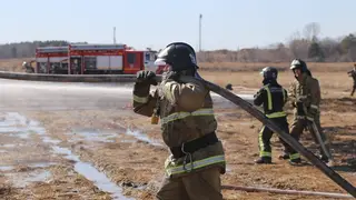 В Красноярском крае за неделю сотрудники МЧС потушили 77 пожаров