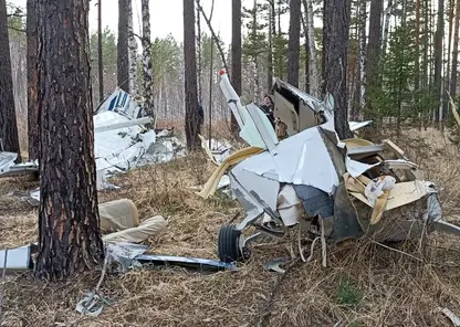 В Красноярском крае завершено расследование о крушении самолёта «Cessna 182»