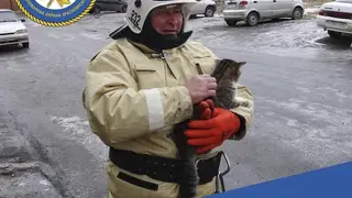 В Курагинском районе начальник пожарной части спас кота