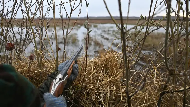 На Севере Красноярского края охотникам стало проще получить отметку в охотничьем билете