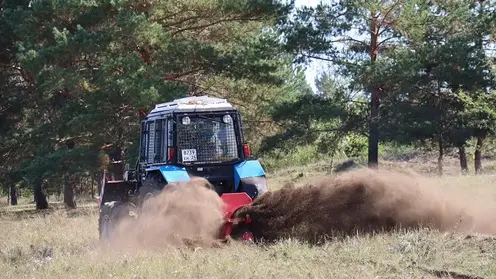 Для защиты от пожаров в Красноярском крае подготовят 5,6 тысячи км минерализованных полос