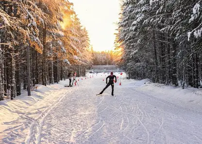 Спортсмены Красноярского края завоевали бронзу на чемпионате России по лыжному ориентированию