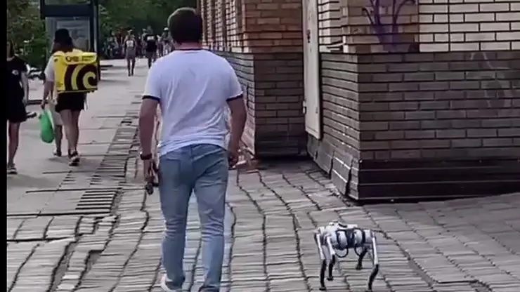 В Красноярске была замечена собака-робот