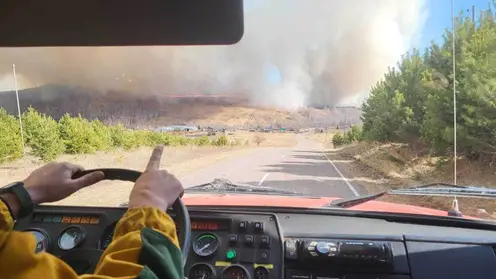 За сутки в Красноярском крае потушили 19 лесных пожаров