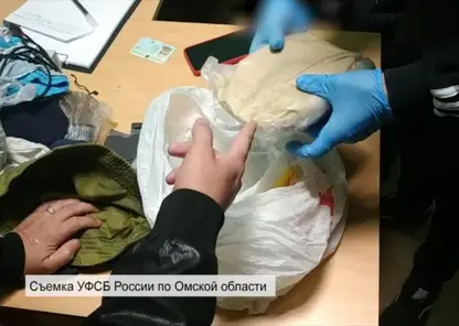 Жителя Казахстана задержали в Омске с 1,2 кг наркотиков