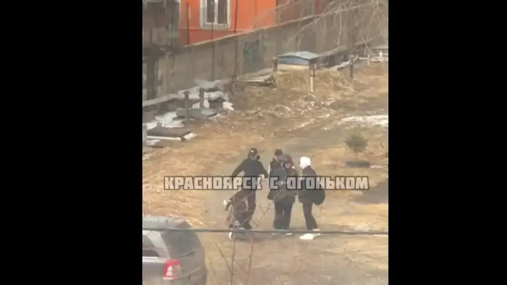 В Красноярске несколько школьников поставили сверстника на колени и избили его