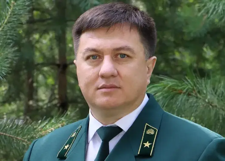 Директор «Красноярского лесопожарного центра» рассказал об авиационной охране лесов от пожаров
