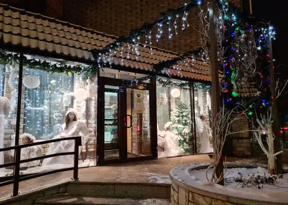 В Центральном районе Красноярска выберут лучшую новогоднюю витрину