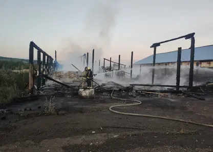 В Красноярске сгорел склад с зерном
