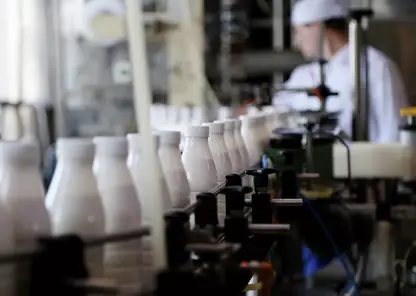В Красноярском крае «Млада» изготавливает молочную продукцию из сырья неизвестного происхождения