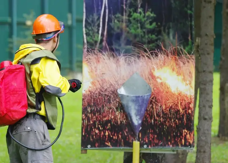 В Красноярске набирают добровольцев на курсы лесных пожарных