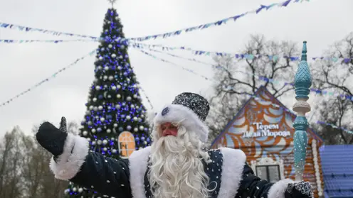 Красноярский Дед Мороз прокомментировал скандал с детьми и их родителями