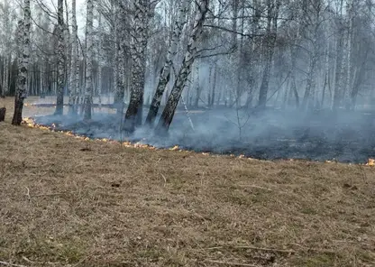 На территории 43 муниципальных образований Красноярского края вводится особый противопожарный режим.