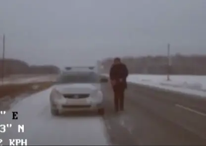 В Зеленогорске госавтоинспекторы помогли замерзающему на трассе водителю