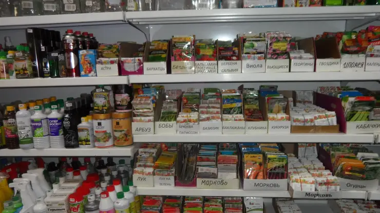 Несуществующие сорта семян продавали в Лесосибирске