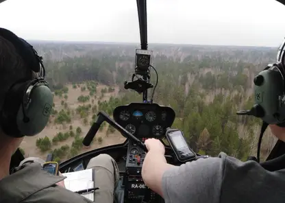 Маршруты авиационного и наземного патрулирования лесов значительно увеличили в Красноярском крае