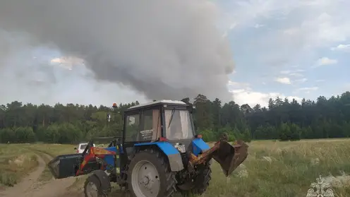Следователи из Алтайского края прорабатывают версию о поджоге леса в Егорьевском районе