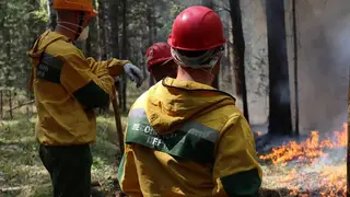 Руководитель краевого Лесопожарного центра Виталий Простакишин рассказал о прогнозах на июль и август