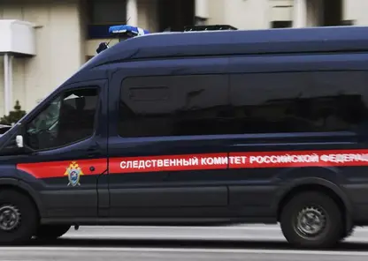 Жительница Томска обратилась в полиции и сама оказалась виновной 