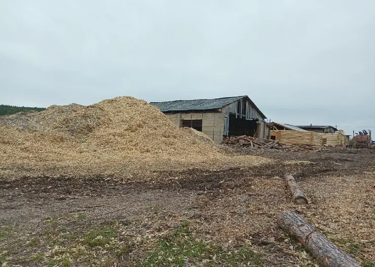 В Красноярском крае лесозаготовительная организация заплатит 1,3 млн рублей за загрязнение почвы