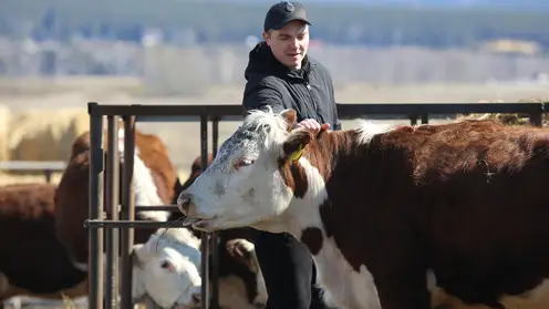 В Красноярском крае сельхозработники могут получить по миллиону рублей