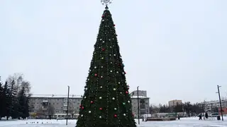 В Красноярске на площади Свердлова установили 15-метровую новогоднюю ёлку