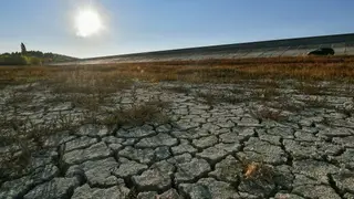В девяти районах Новосибирской области из-за засухи ввели режим ЧС