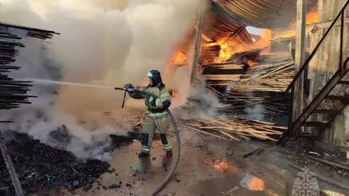 В 52 муниципалитетах Красноярского края отменили особый противопожарный режим