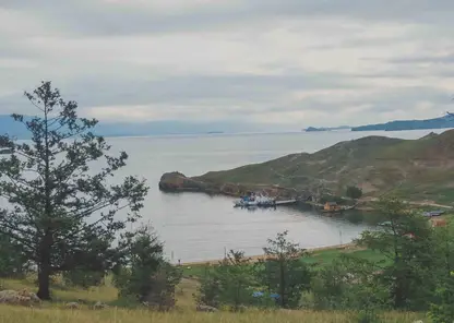 На Байкале к берегу прибило трупы мертвых нерп