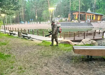 В Красноярске обработали территорию от клещей возле нового визит-центра «Серебряный лог»