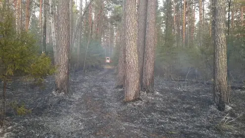 В Якутии больше тысячи огнеборцев привлекли к тушению лесных пожаров
