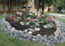 5 млн рублей могут получить жители Красноярска на озеленение дворов