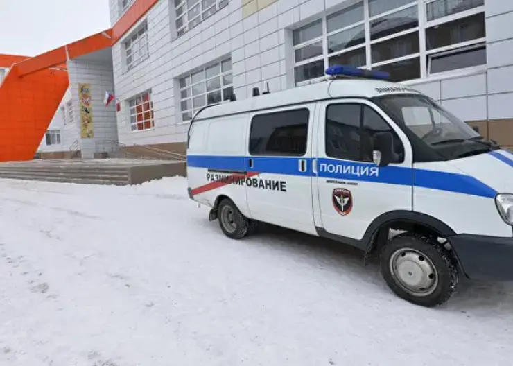 Детские сады и школы Красноярска не будут отправлять на дистанционку