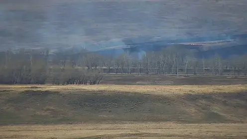 Крупный ландшафтный пожар произошел в окрестностях села Шалоболино